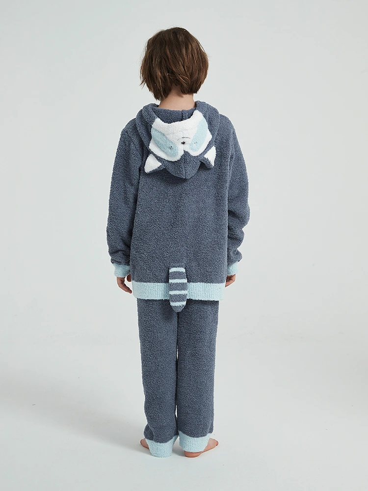 Boys Autumn and Winter Fleece Pajamas
